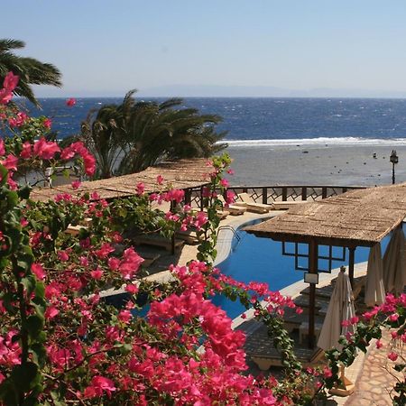 Nesima Resort Dahab Zewnętrze zdjęcie